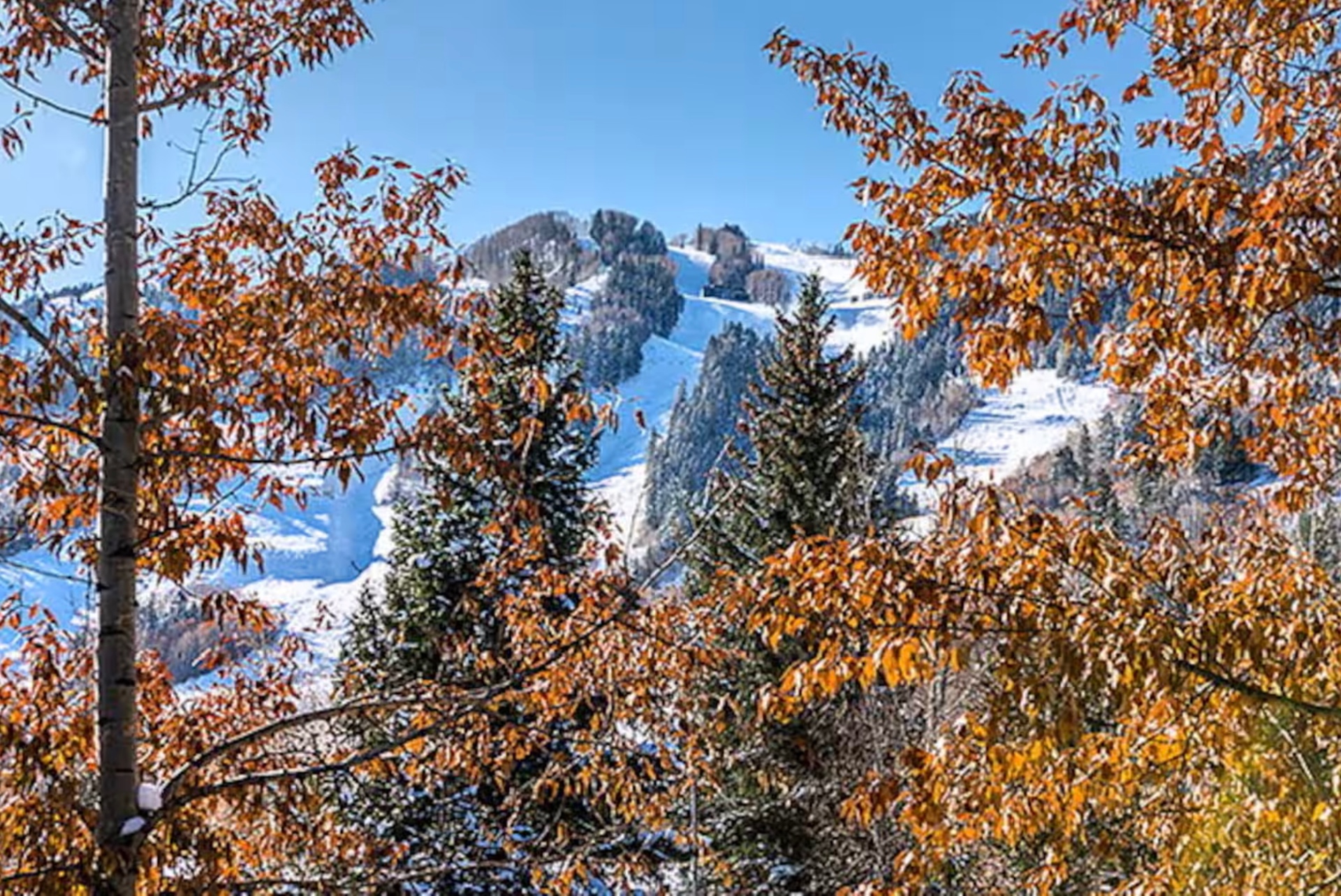 Aspen Mountain through fall foliage